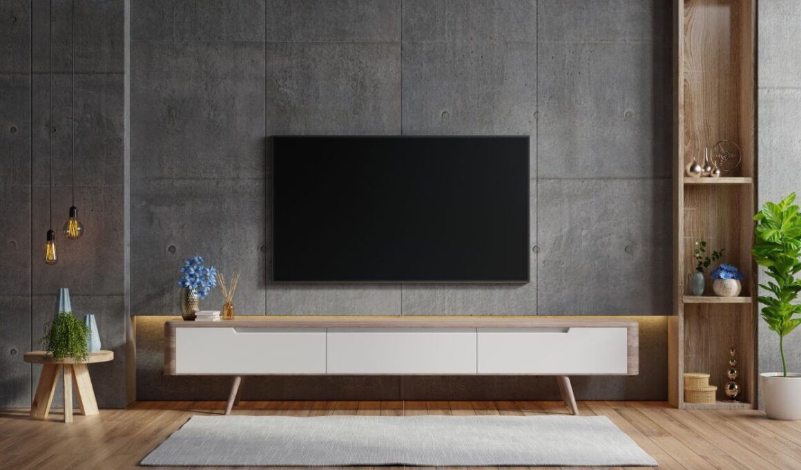 dekoracja ściany z telewizorem