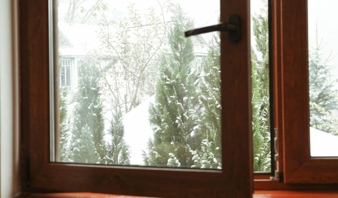 jak zabezpieczyć okna przed zimą