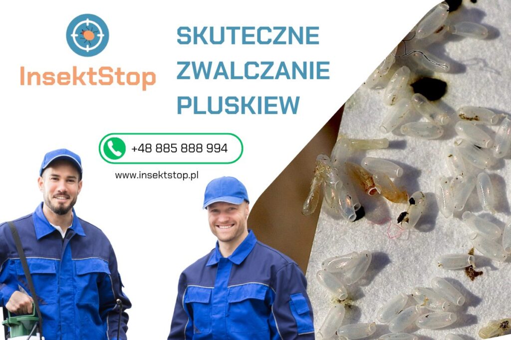 zwalczanie pluskiew insektstop.pl